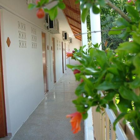 George'S Apartment Agia Marina  Rom bilde