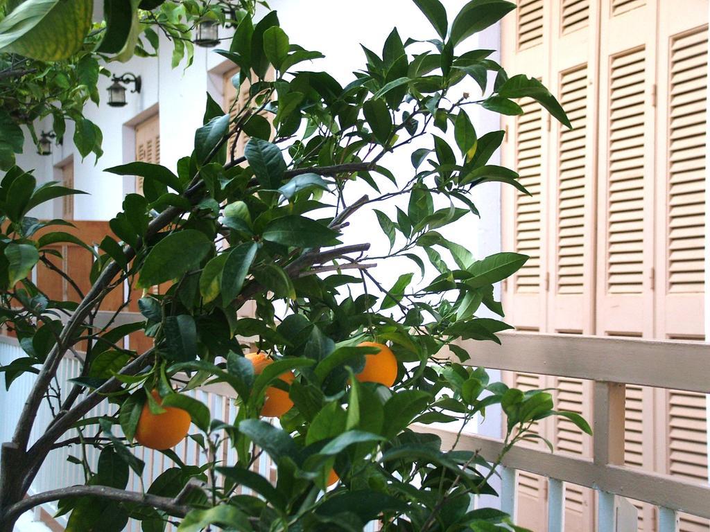 George'S Apartment Agia Marina  Rom bilde