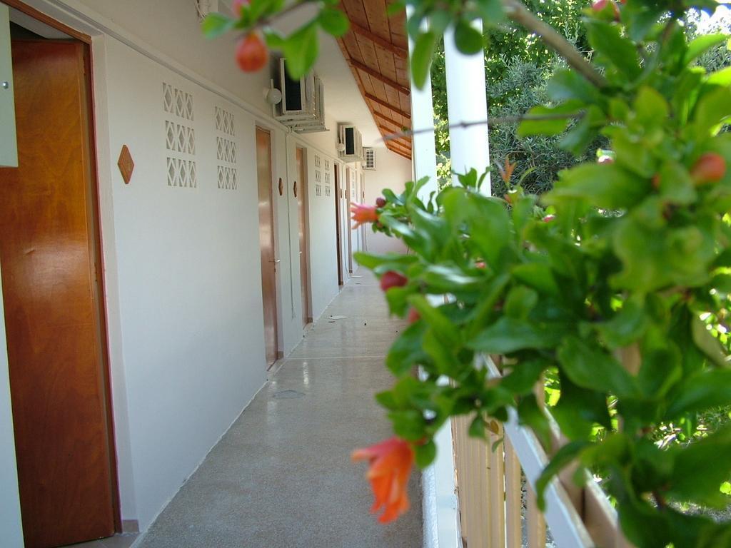 George'S Apartment Agia Marina  Rom bilde