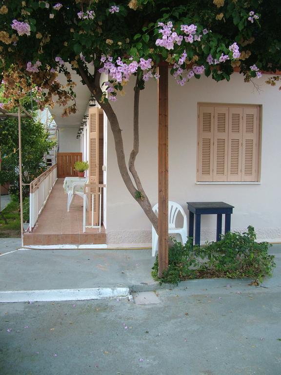 George'S Apartment Agia Marina  Rom bilde