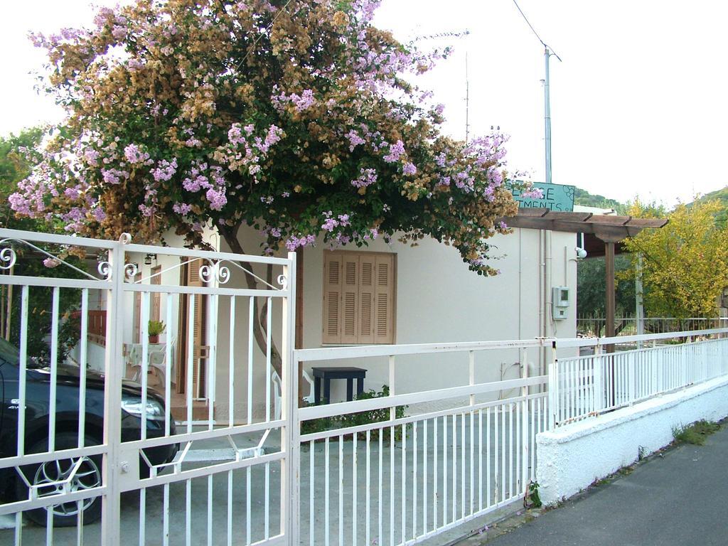 George'S Apartment Agia Marina  Rom bilde